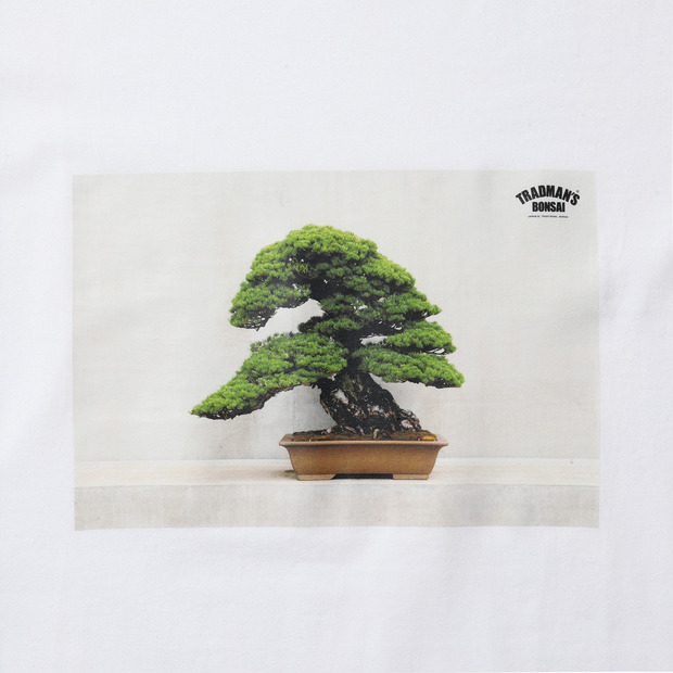 BONSAI PHOTO T-SHIRT -五葉松- 詳細画像